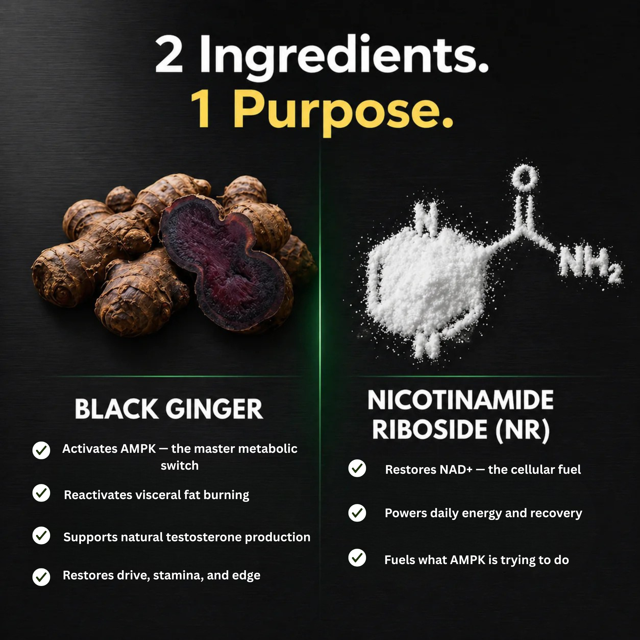 Omvyra Labs – NR + Black Ginger Complex™