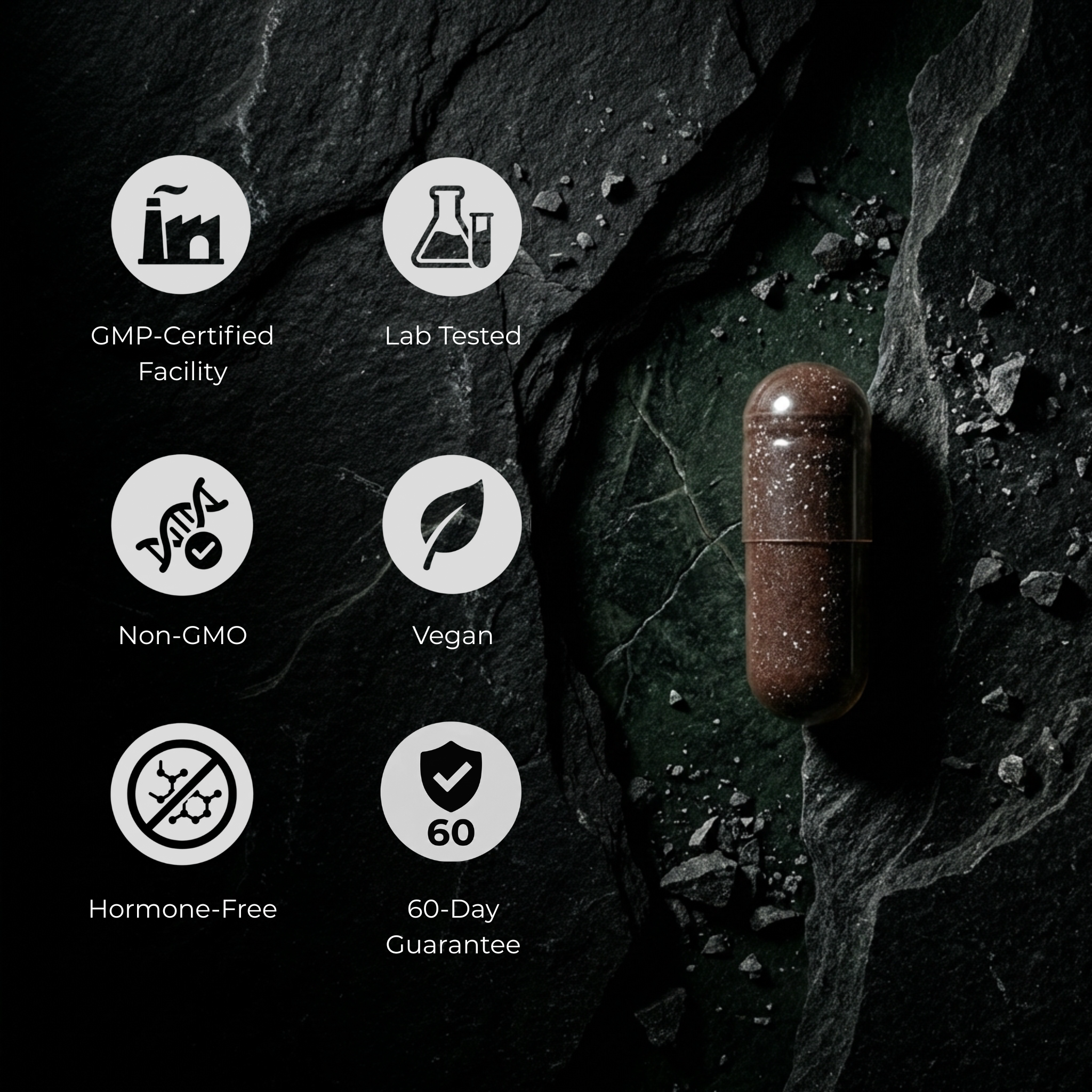Omvyra Labs NR + Black Ginger Complex™