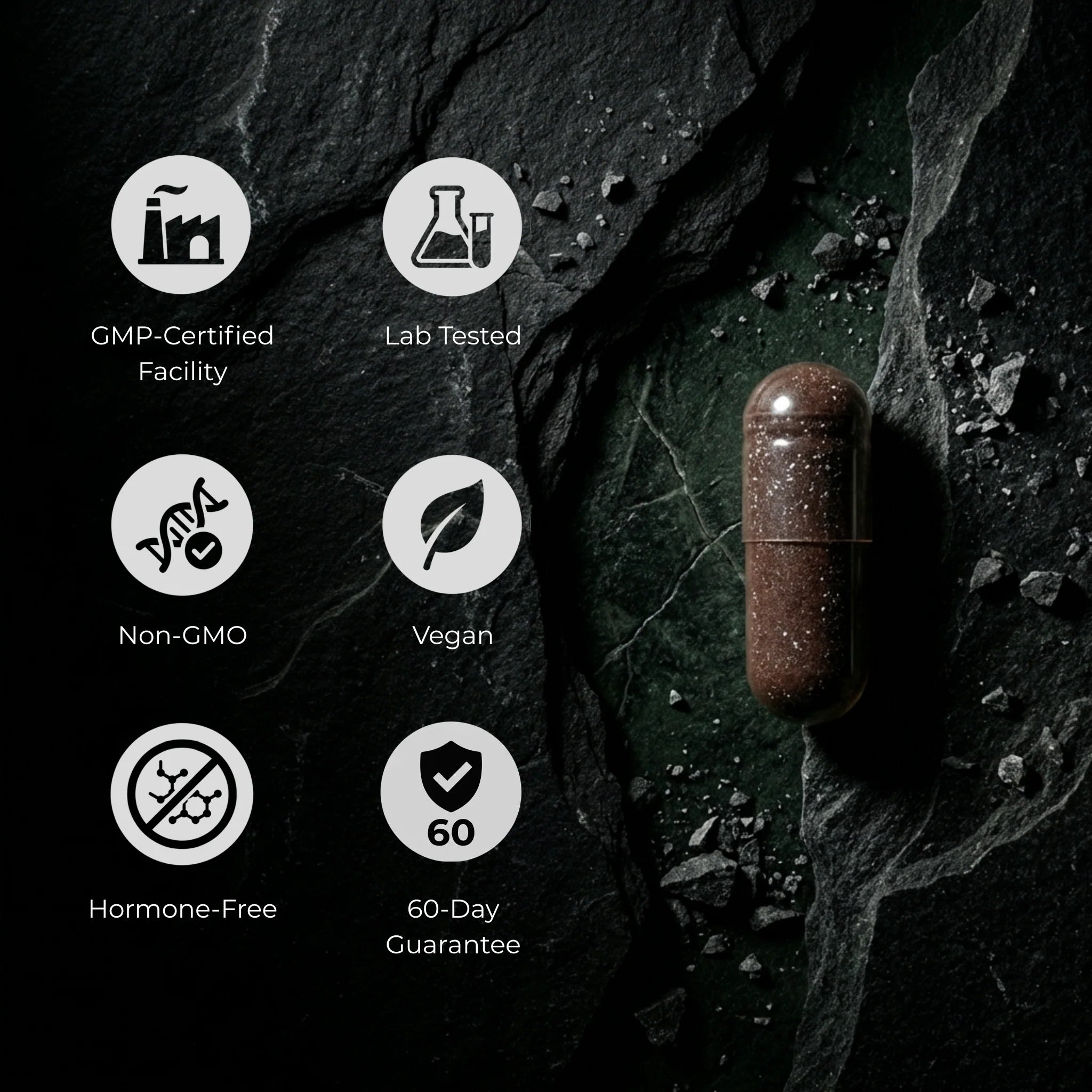 Omvyra Labs™ |  Black Ginger Complex