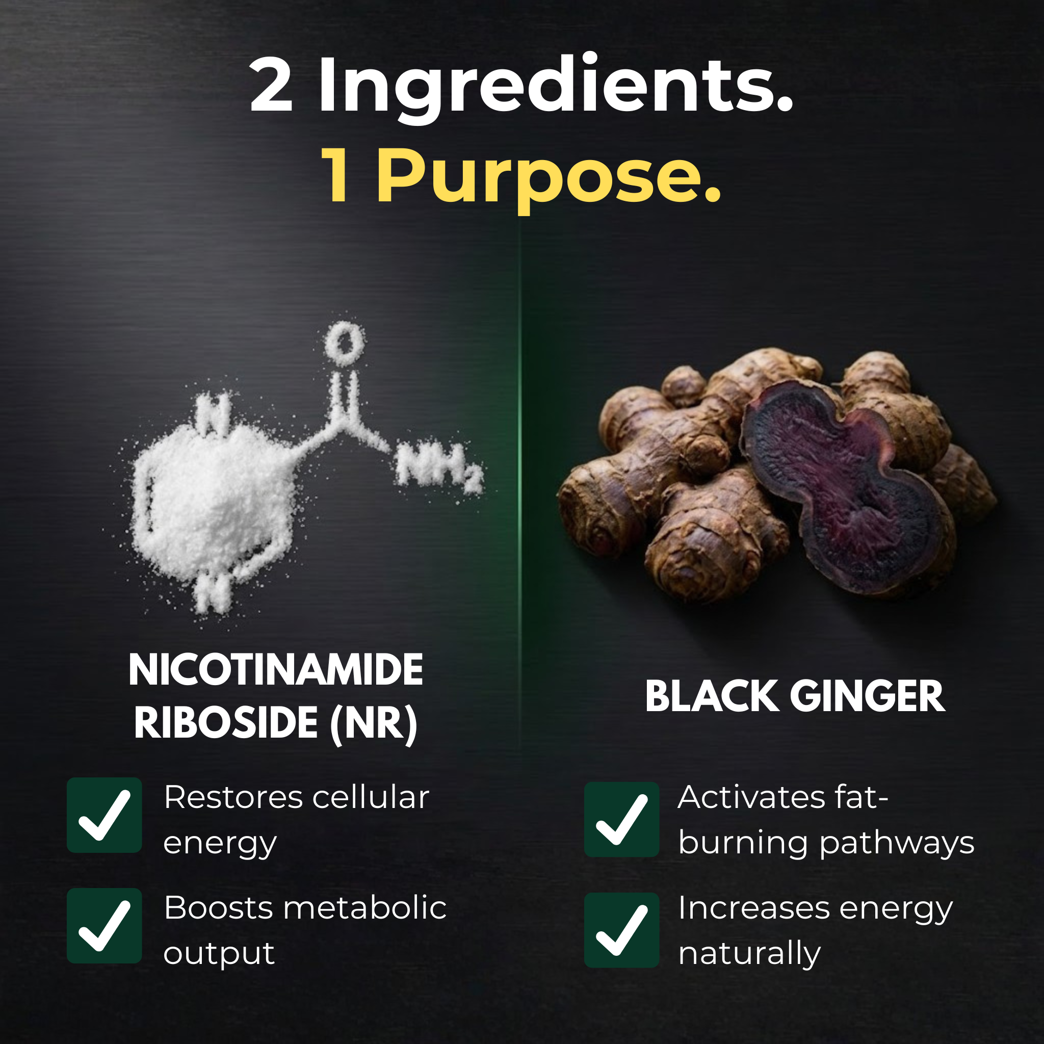 Omvyra™ Labs NR + Black Ginger Complex