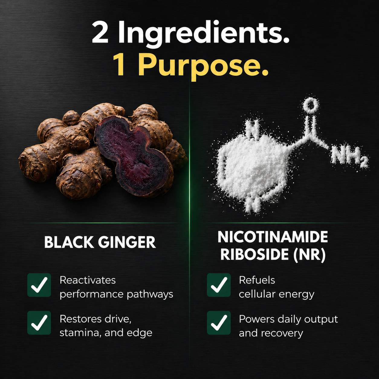 Omvyra Labs – NR + Black Ginger Complex™
