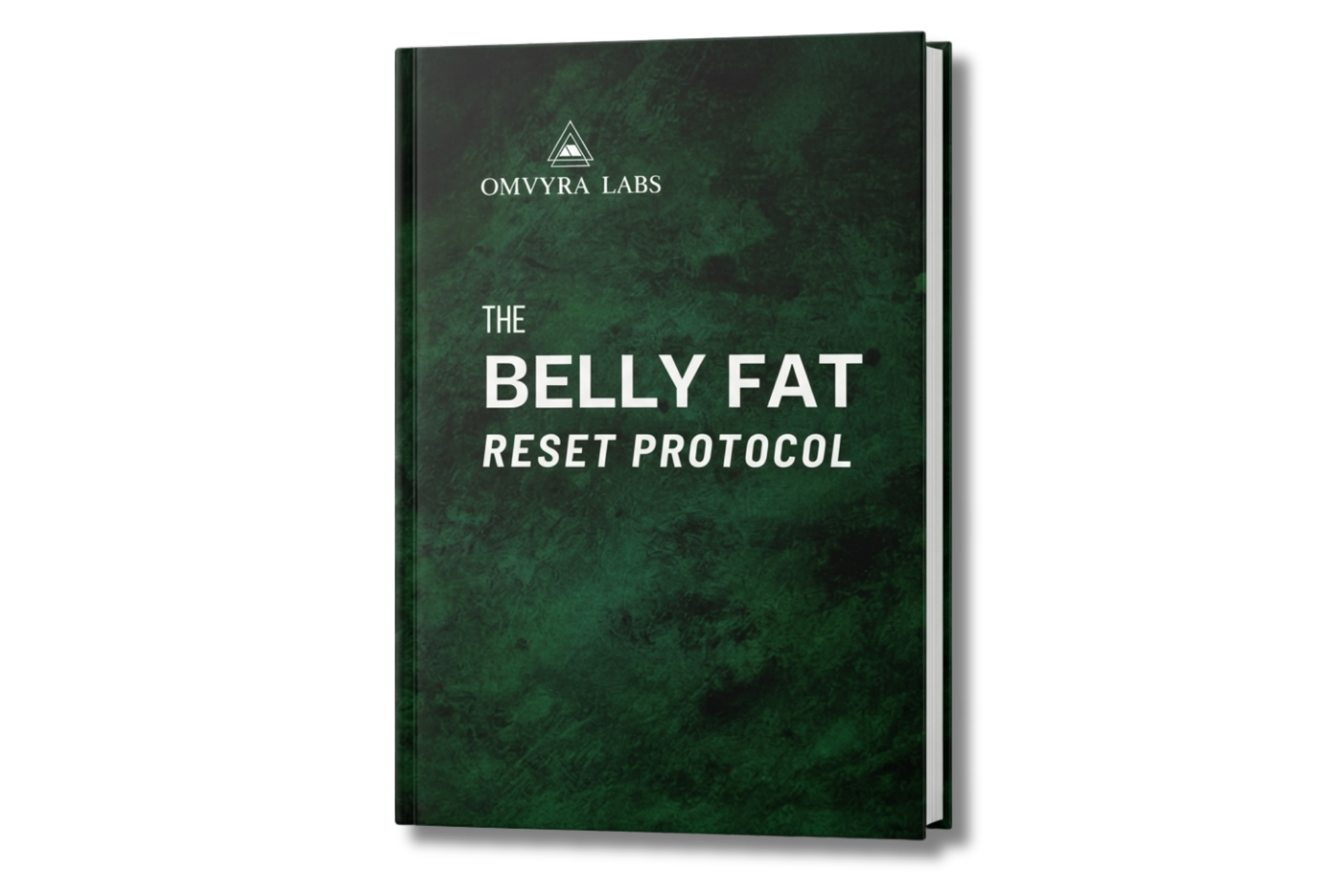 The Belly Fat Reset Protocol
