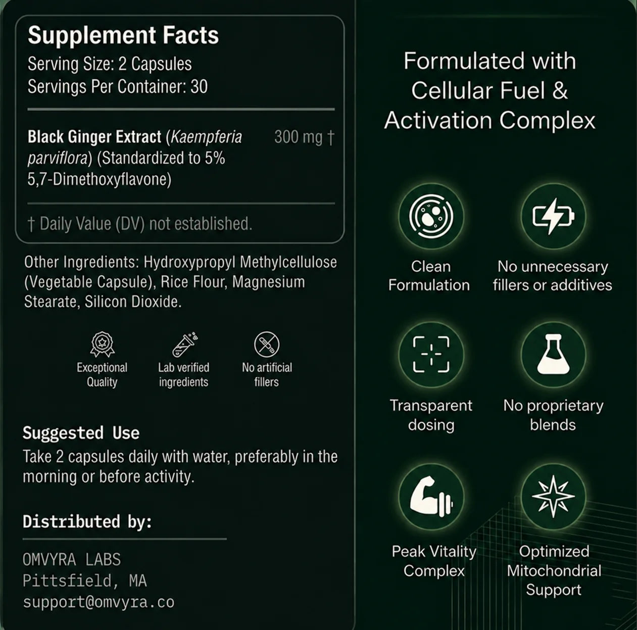 Omvyra Labs™ |  Black Ginger Complex